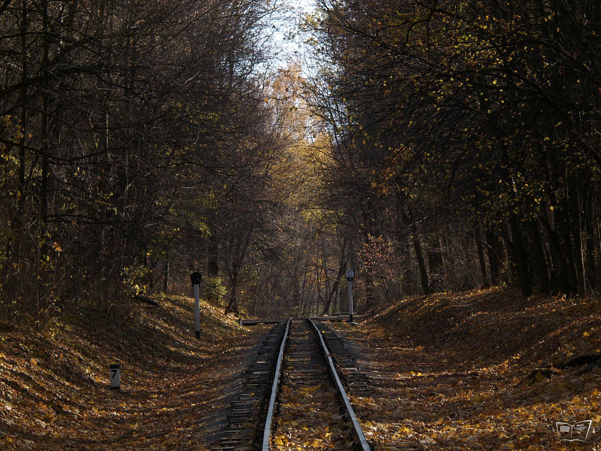 Осенний перегон