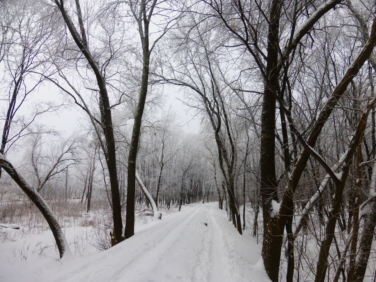 Заснеженный перегон