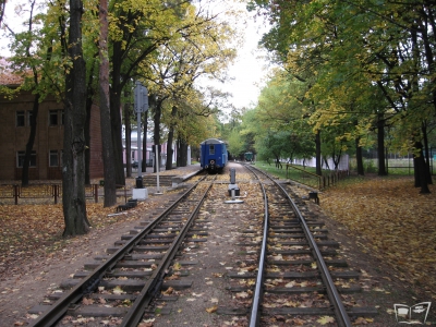 Вид на ст. Парк