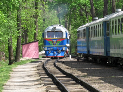 ТУ2-054 совершает маневры по ст. Лесопарк