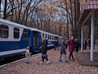 Пассажиры на перроне  ст. Лесопарк